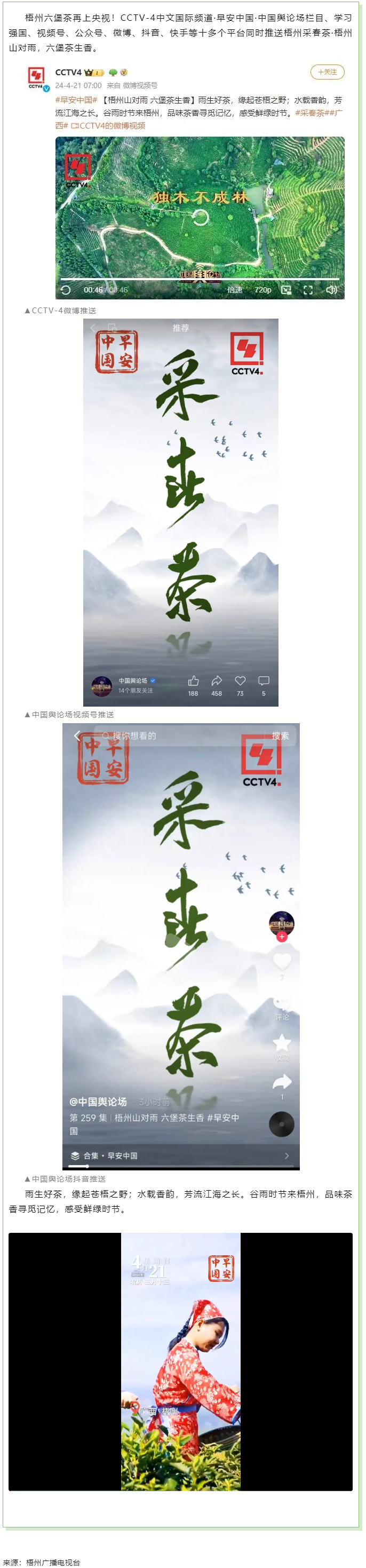 央視、學(xué)習(xí)強(qiáng)國等十多個(gè)平臺(tái)同時(shí)推送梧州采春茶·梧州六堡茶.png